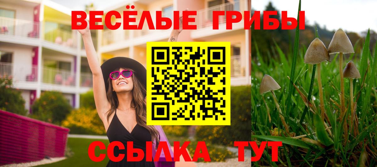 Псилоцибиновые грибы Magic Shrooms  Вход с VPN  Галлюциногенные грибы Psilocybe  Алатырь 