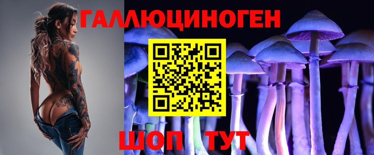 Псилоцибиновые грибы мицелий Алатырь